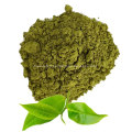 Organic Green Tea Powder For Tea Bulk